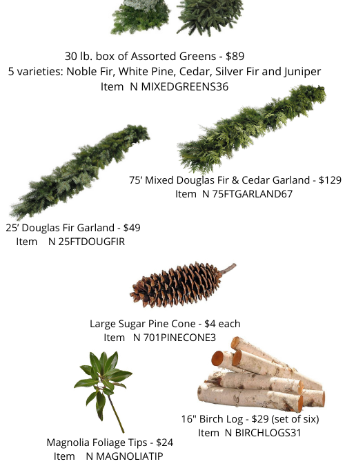Holiday Preorder – Fresh Evergreens, Garland, Birch Poles & More
